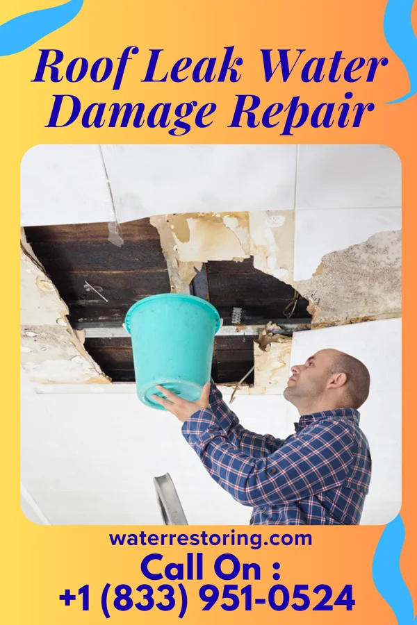 Roof Leak Water Damage Repair in Bertha, MN